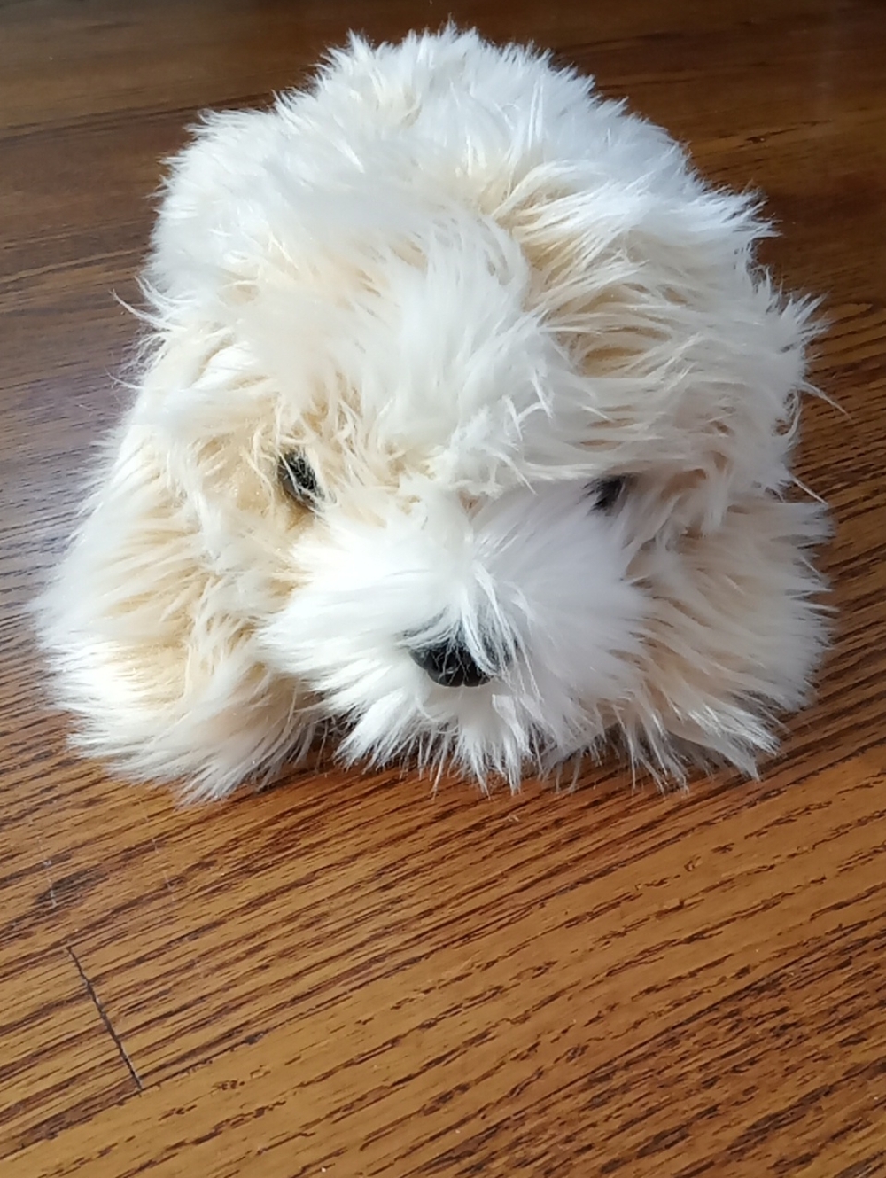 TY 2001 Jenkins Fuzzy Dog 13.5"